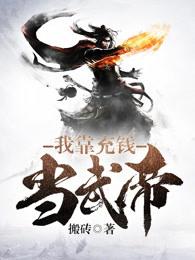 我靠充钱当武帝